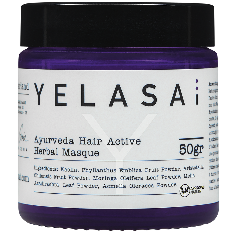 Ayurveda Hair Active Herbal Masque