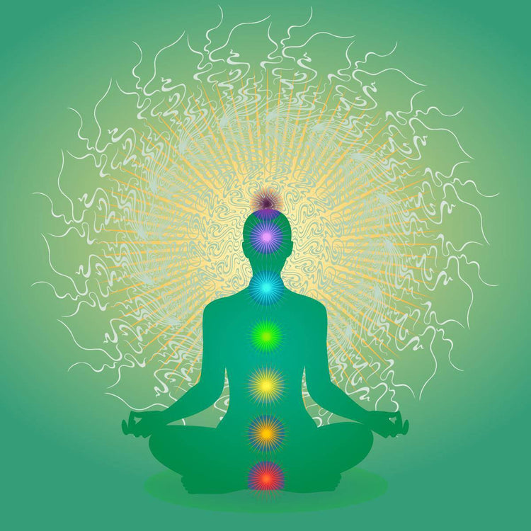 Entspannungsmusik für Hair Growth with theta rife als MP3 Download von YELASAI