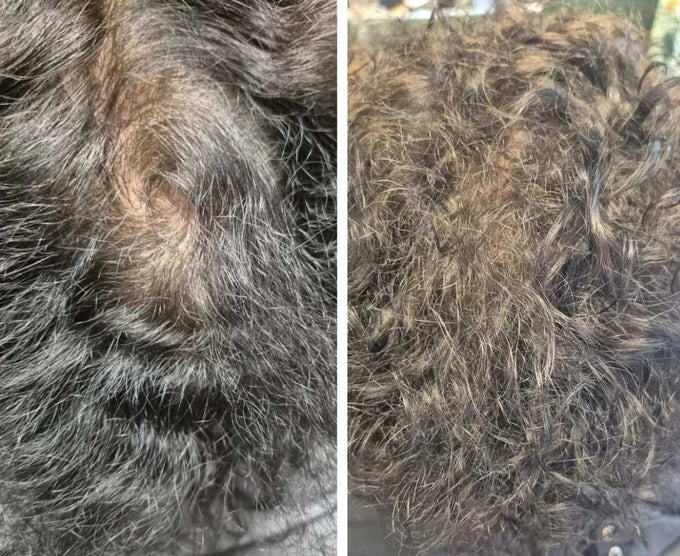 Erfahrungen bei kaputtem Haar und Haarbruch