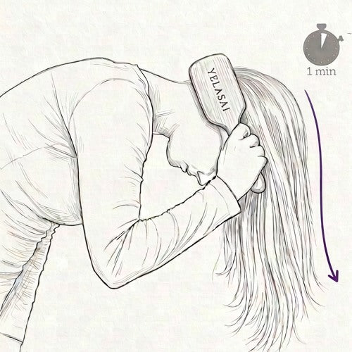 Brush for 1 minute from the neck to the forehead
